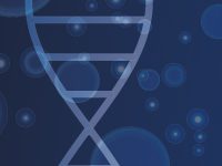 Guide to Patient Involvement in Therapy Development